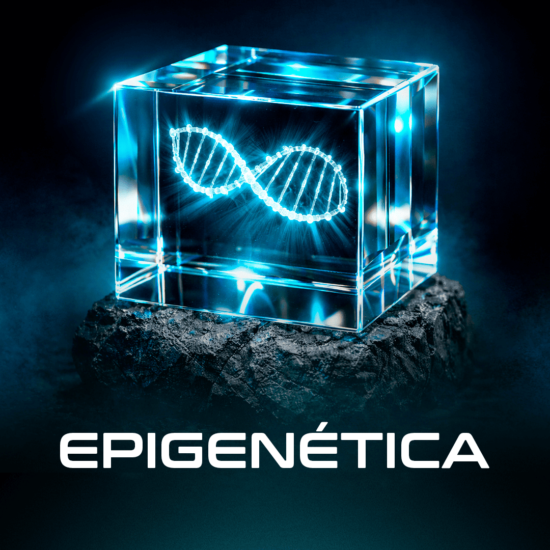 Epigenética